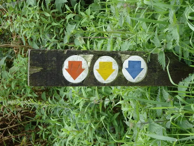 Wooden waymarker with three coloured arrow symbols on grass and vegetation.