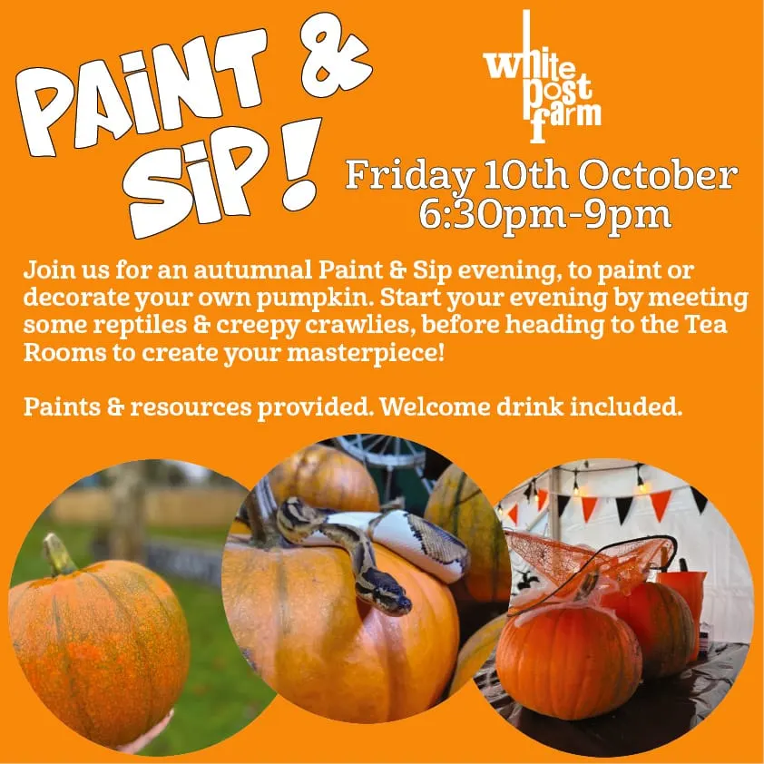 Painted pumpkins and paint supplies for Pumpkin Paint and Sip at White Post Farm