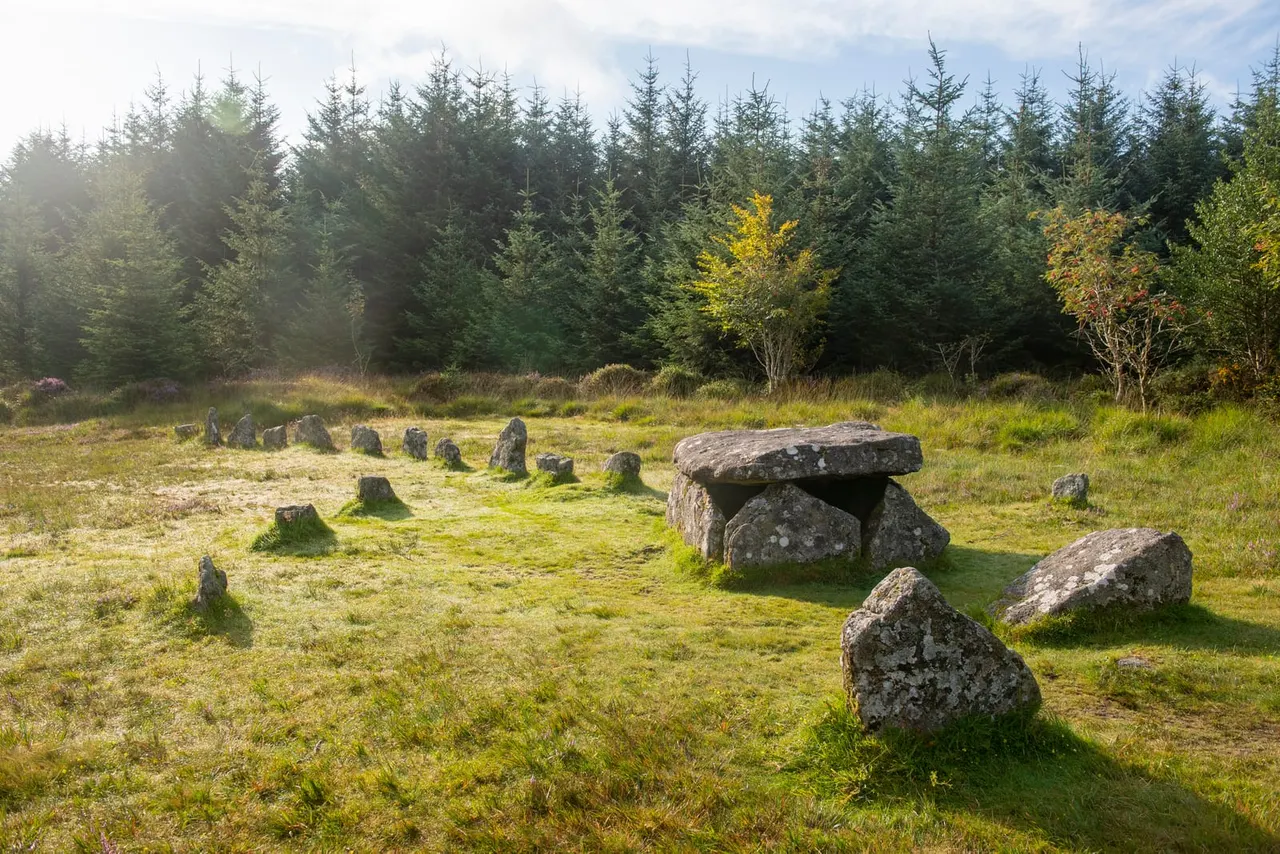 Ancient stone burial chamber and standing stones in a mossy clearing surrounded by coniferous woodland.