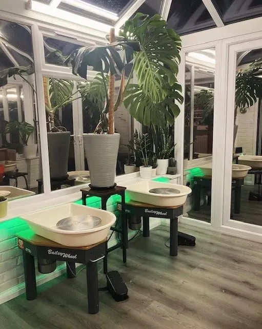 Pottery wheels with green ambient lighting in a bright studio space surrounded by potted plants and large windows.