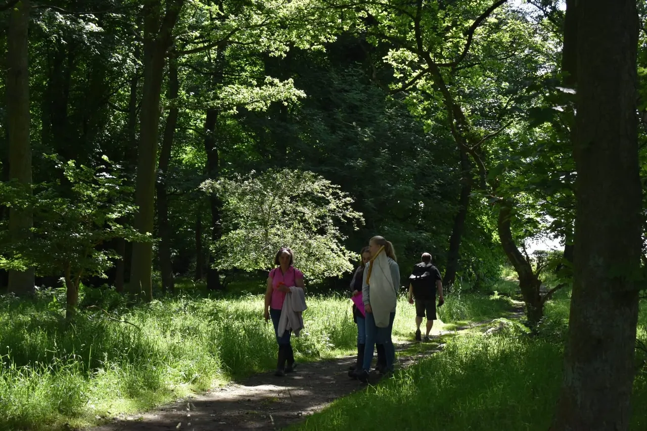 A group of visitors walking along a shaded woodland path surrounded by tall trees and lush green vegetation.