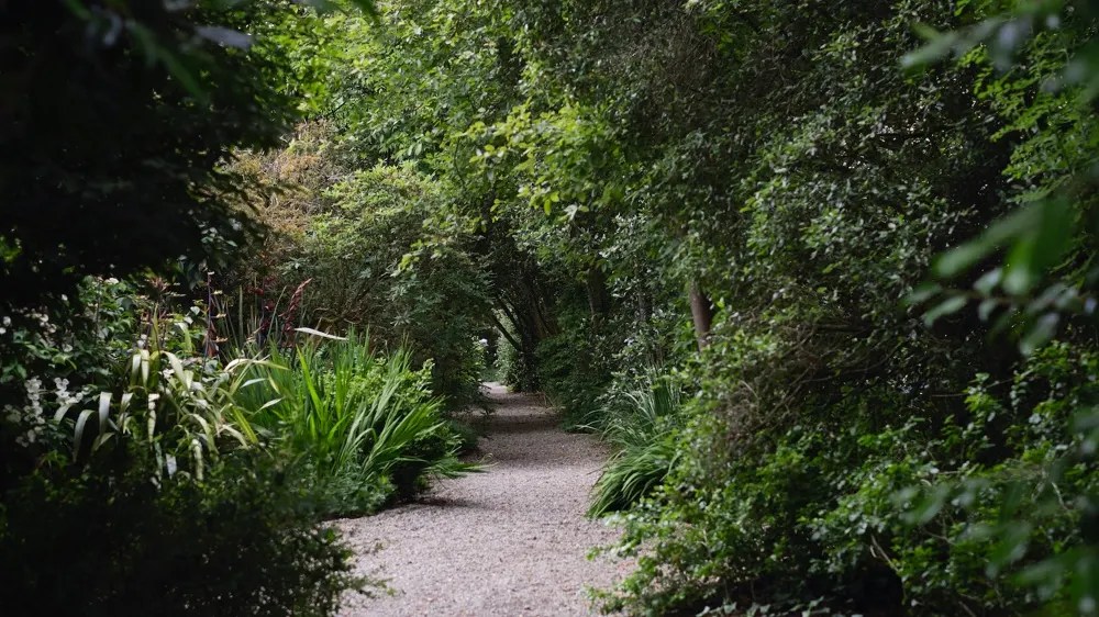 A shaded garden pathway bordered by dense hedging and lush green foliage on both sides.