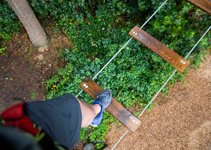 Person climbing a wooden ladder over green foliage in a treetop adventure course.