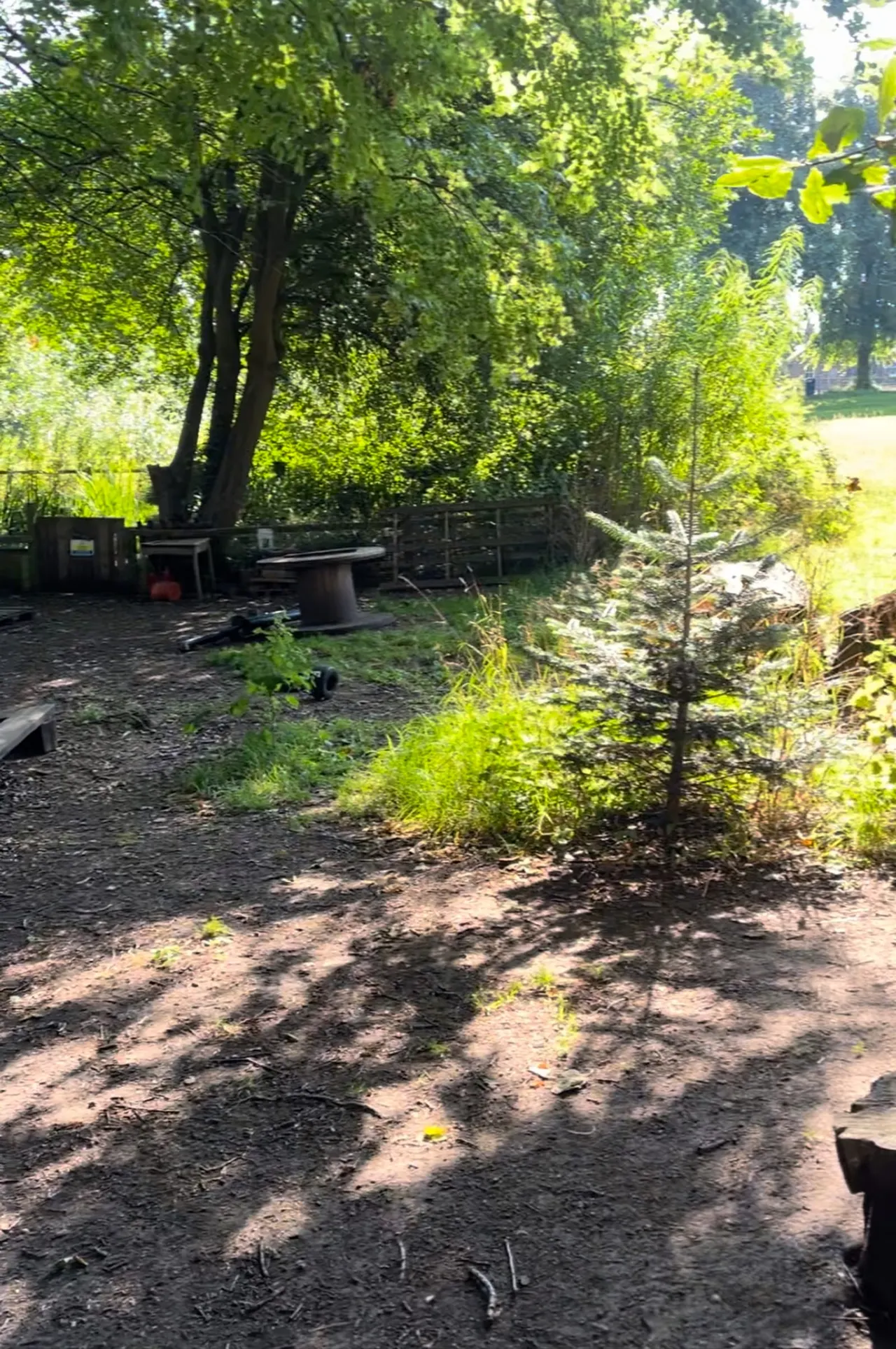 Forest School & Outdoor Learning in York