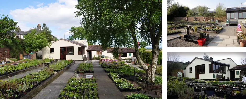 Garden centre nursery with raised plant beds along a paved pathway leading to a white building with visitors browsing plants for sale.