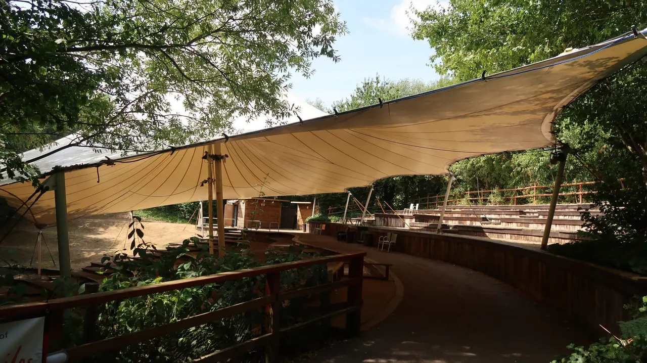 Waterside amphitheatre at Conkers