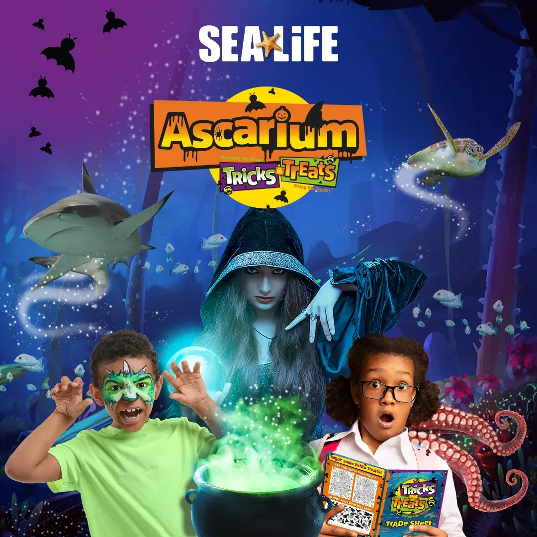 SEA LIFE Manchester