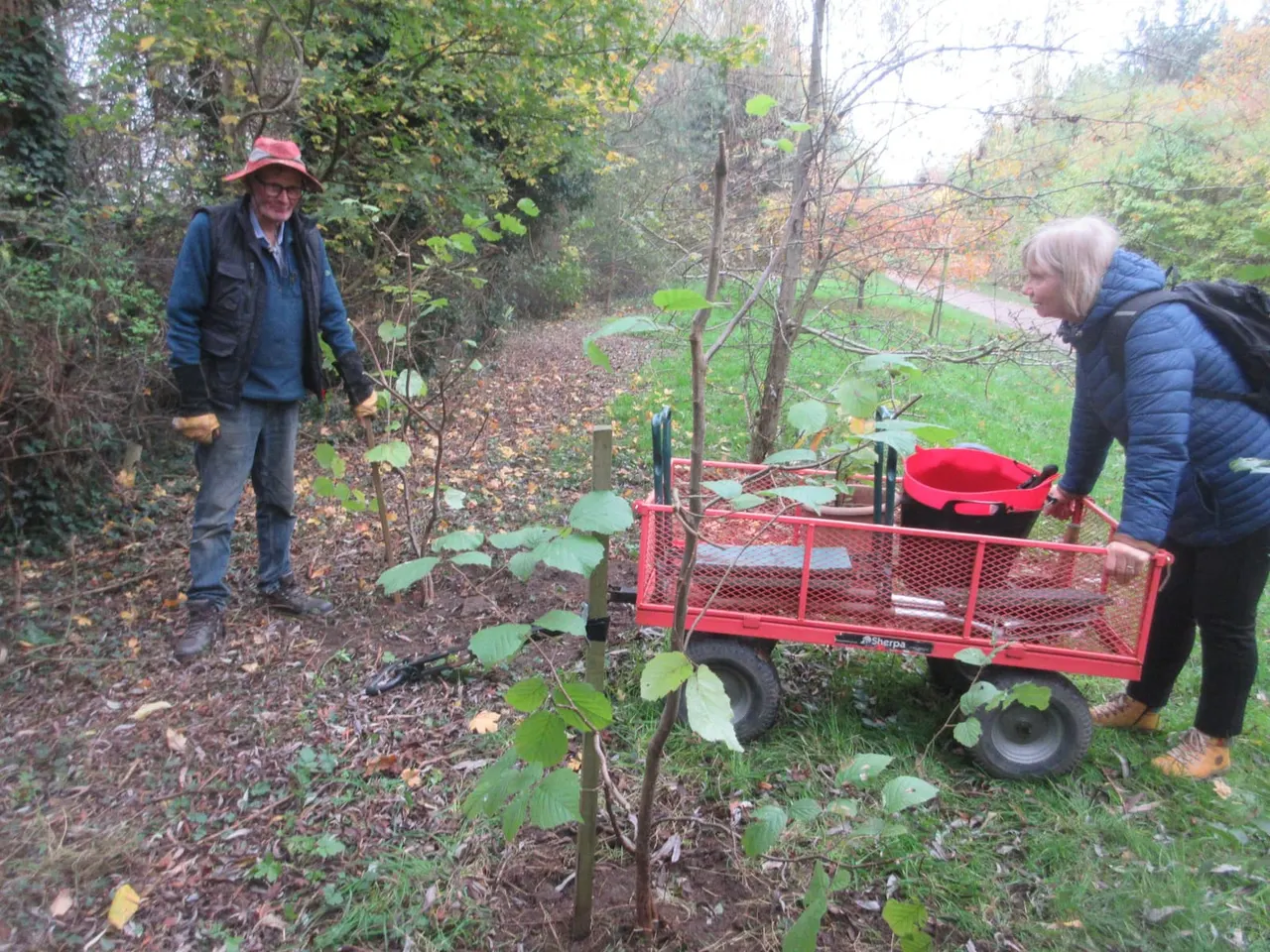 Two people manage a red cart laden with gardening tools and a bucket whilst working amongst young trees and woodland on an autumn day.