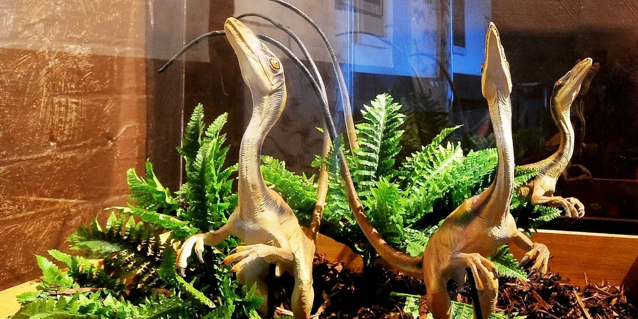 Museum display of three dinosaur models with long necks among fern plants and rocky substrate.