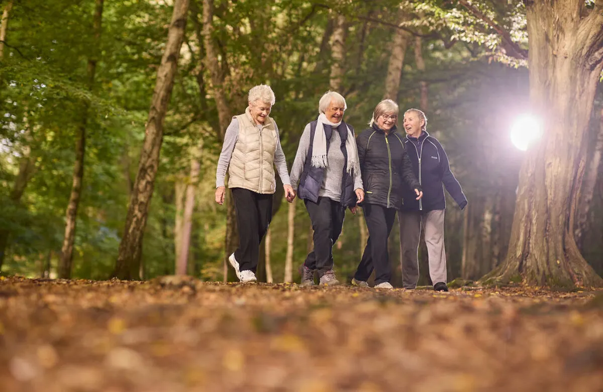 Four older adults walking together on a tree-lined woodland path in autumn.