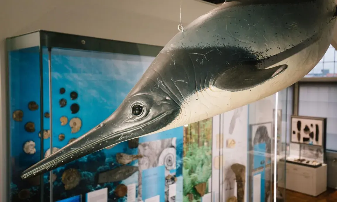 Suspended cast model of an ichthyosaur's head in a museum display gallery with fossil specimens visible in glass cases behind.