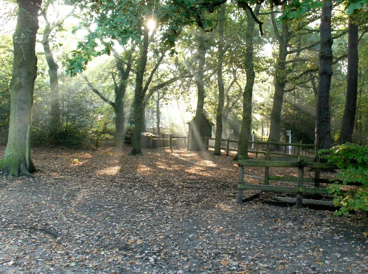 Tree-lined gravel path with wooden fences leading towards a stone building, dappled sunlight filtering through mature woodland.