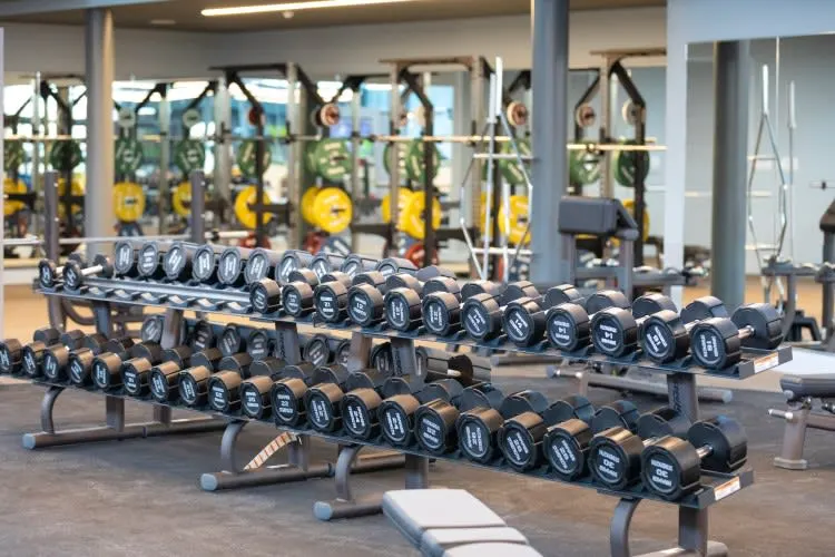 Rows of black dumbbells on racks in a modern gym fitness studio with weight machines visible in the background.
