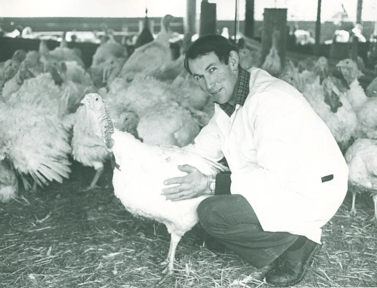 Man in white coat holding a large white turkey surrounded by poultry in a farm enclosure.