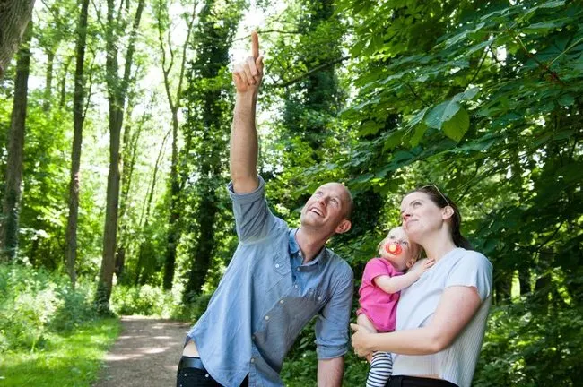 Family of three looking upward and pointing at wildlife in a leafy woodland setting.