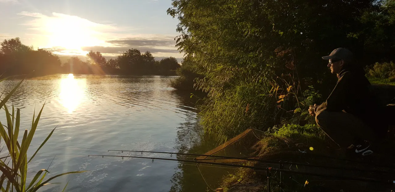 Angler fishing at sunset beside a calm river lined with overhanging trees and reeds.