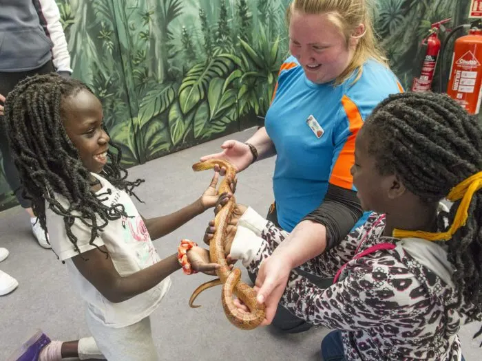Staff member shows two children a large snake during a hands-on animal encounter activity.