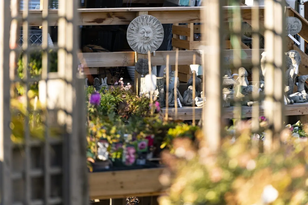 Garden shop display viewed through wooden trellis, with flowering plants in foreground and stone ornaments and statuary visible inside.