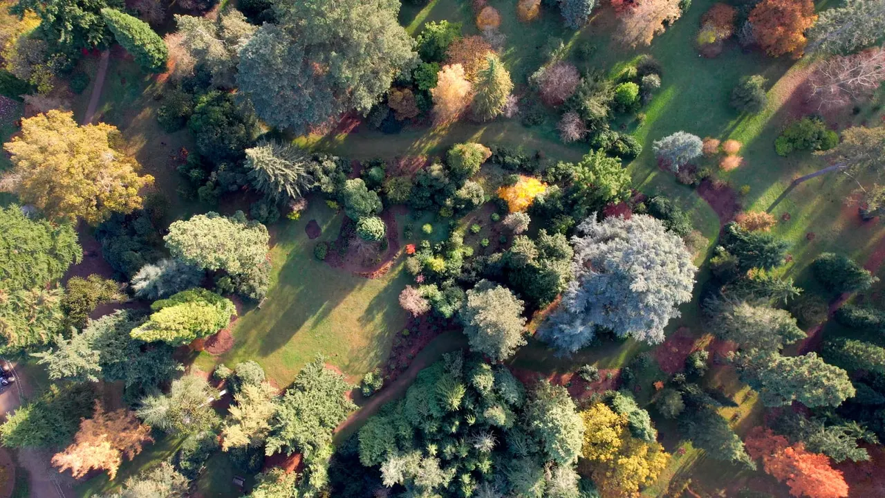 Gardens & Arboretums in Reading