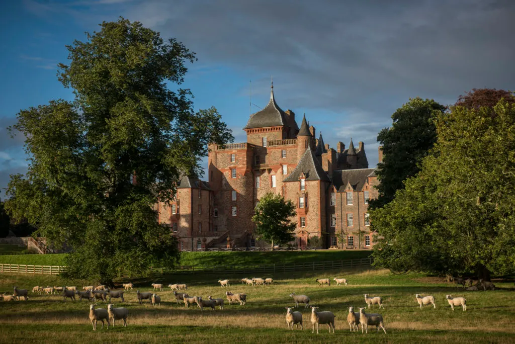 Sheep grazing in parkland in front of a red sandstone castle with turrets and towers.