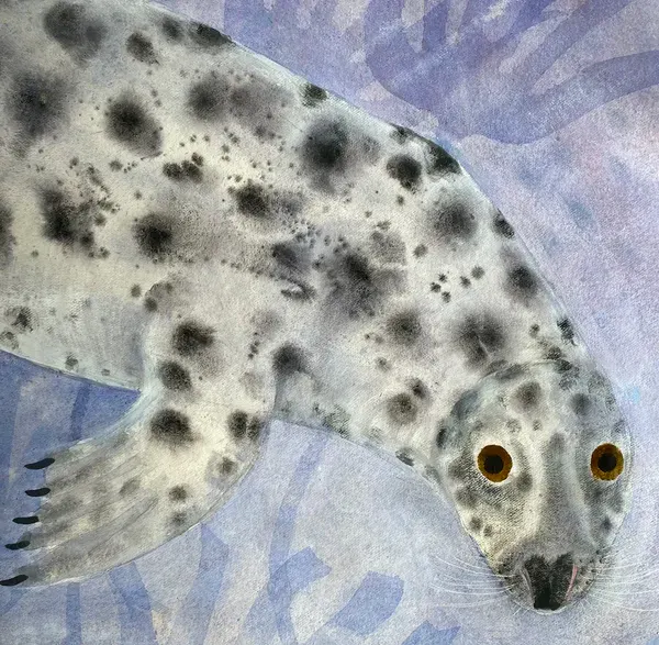 Spotted seal viewed from above against a blue background.