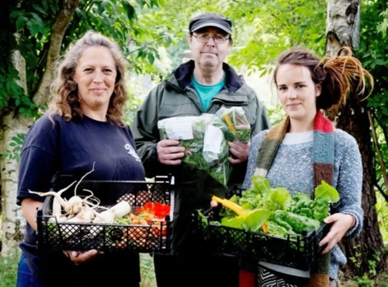 Three people holding crates of freshly harvested vegetables in a green garden setting.