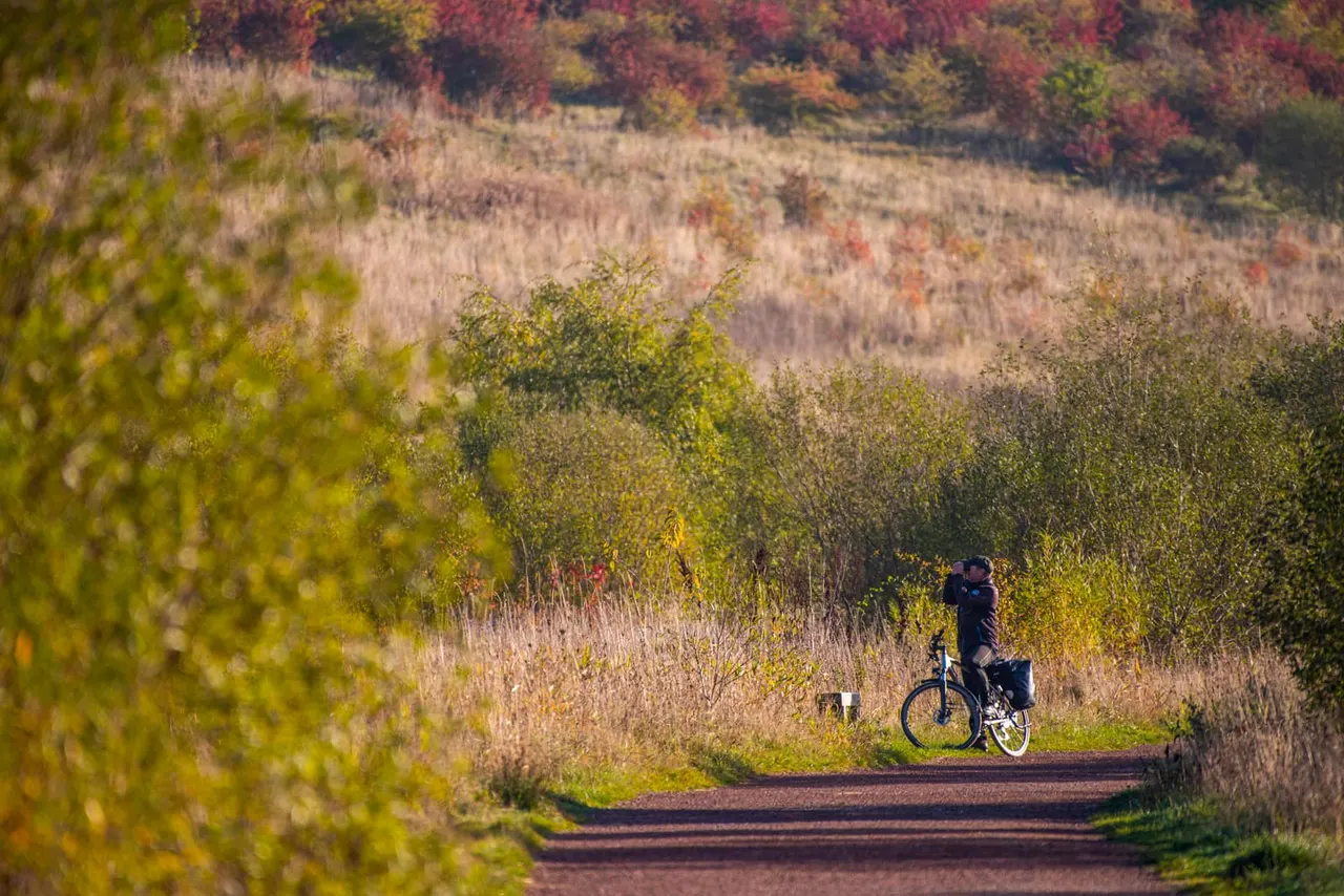 Person on a bicycle pauses on a woodland path surrounded by autumn-coloured scrub and trees.