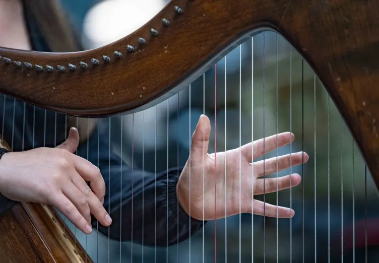 Person's hands playing strings on a wooden harp.