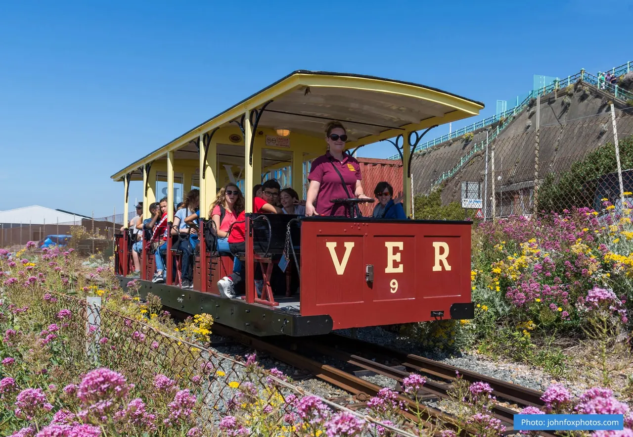 A red heritage tram with passengers aboard travels along tracks surrounded by flowering plants on a sunny day.