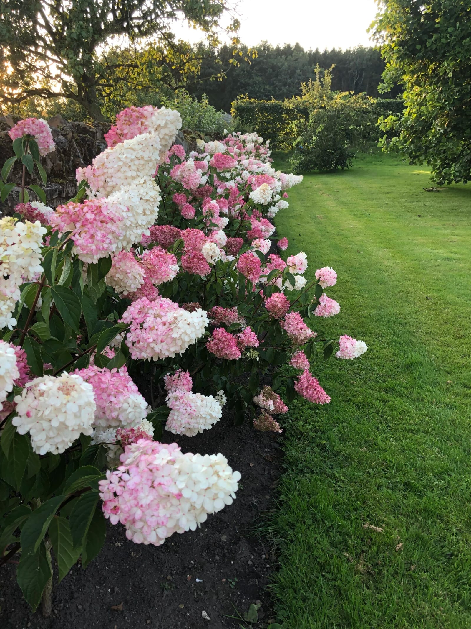 Felley Priory Garden