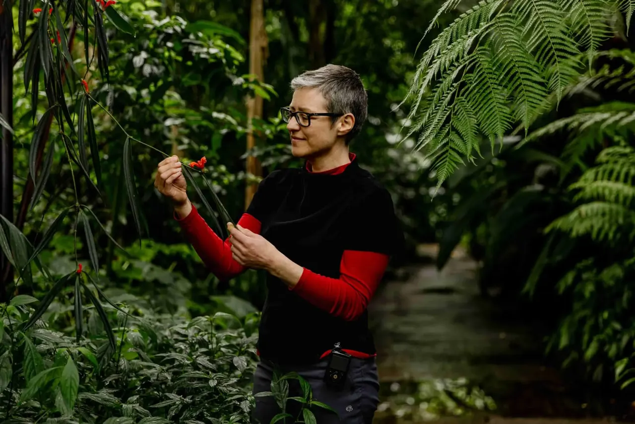 Young person in red and black clothing examining a small red flower among lush tropical plants and ferns in a greenhouse.