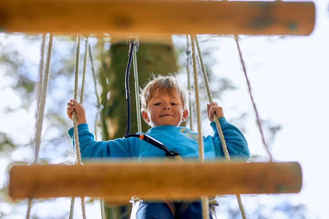 Treetop Adventure high ropes obstacles in woodland