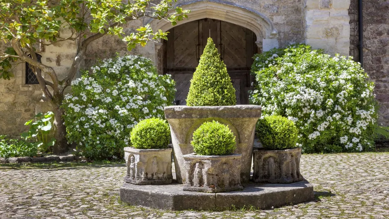 Formal courtyard garden with clipped topiary in stone planters and white flowering plants, backed by historic stone building with arched doorway.
