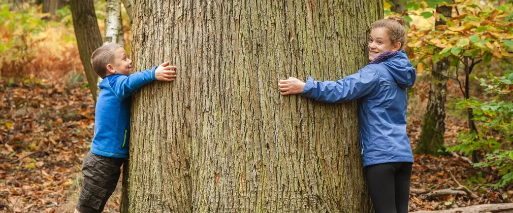 Two young children in blue jackets embracing a large tree trunk in a woodland setting with autumn leaves on the ground.