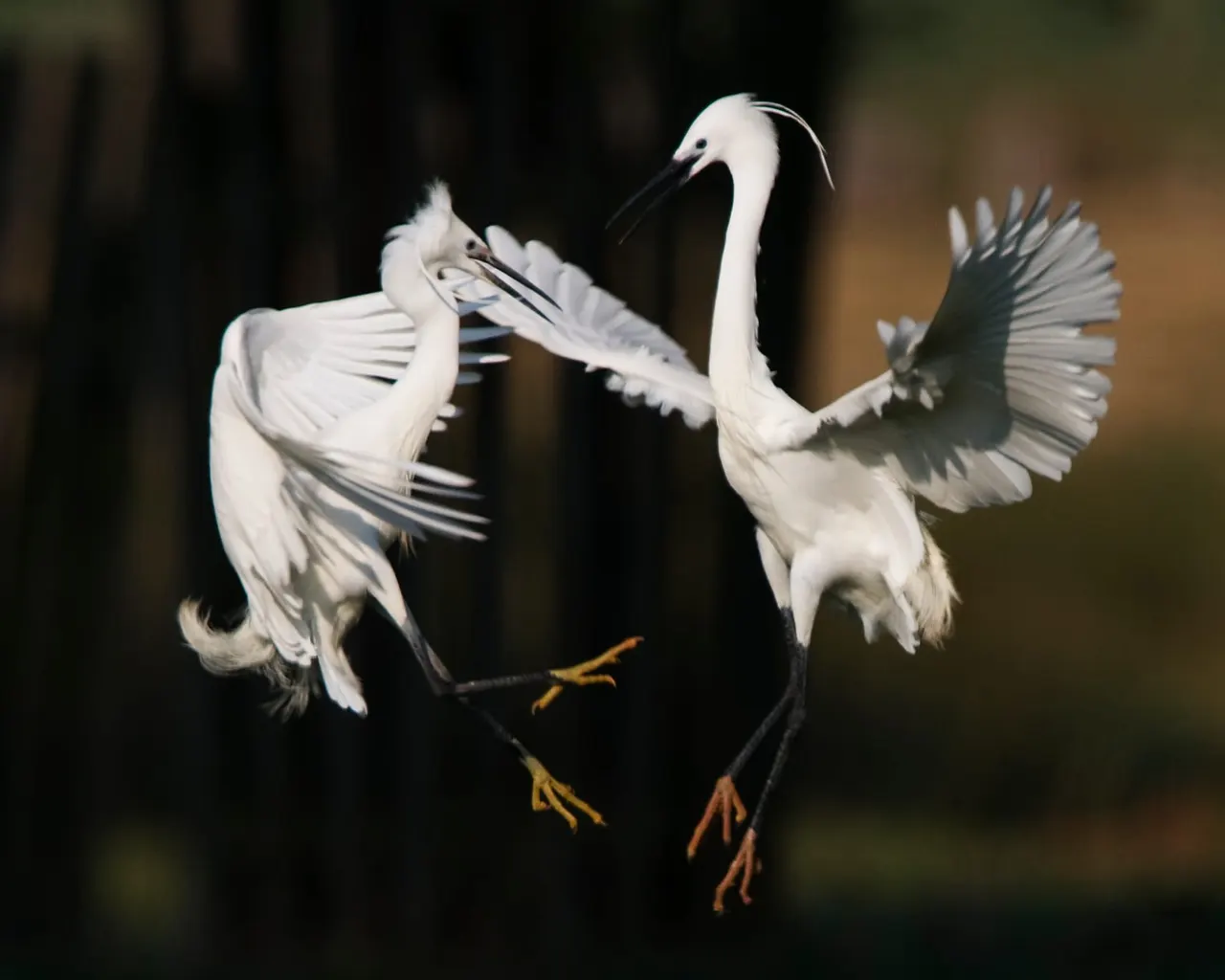 Country Parks & Nature Reserves in Plymouth