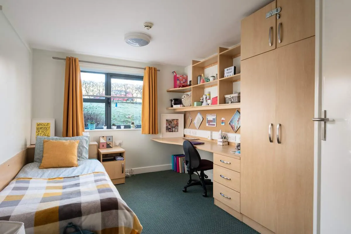 A modern student bedroom with a single bed, desk, chair, wooden storage units, and window overlooking grounds.