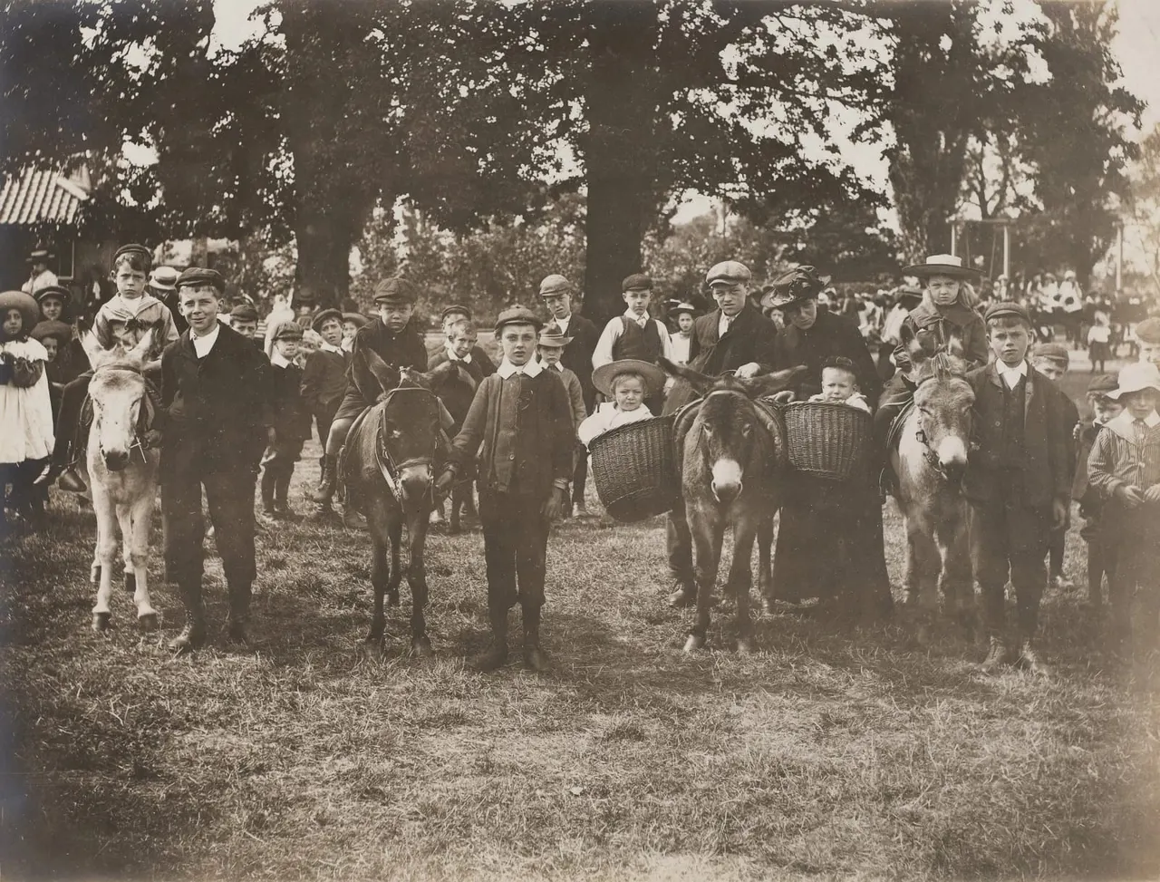 Large group of people and children on ponies gathered in a tree-lined park, early twentieth century.