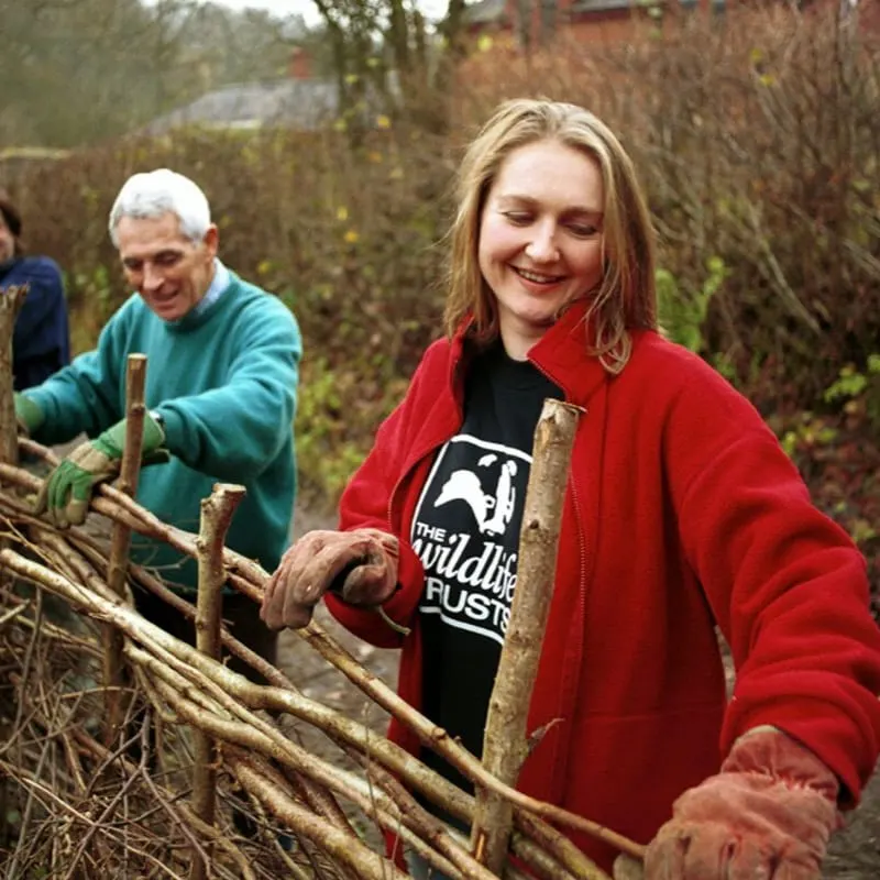 Visitors arranging branches and twigs during a outdoor conservation activity at the nature reserve.