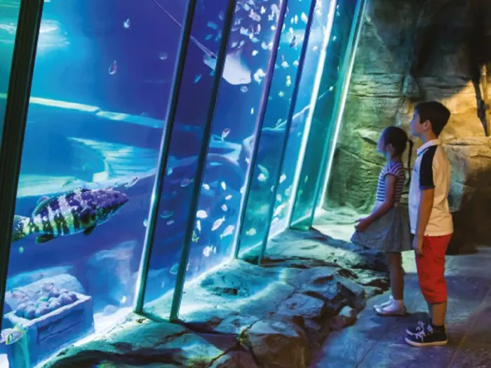 Two children watching large fish and smaller fish swimming behind illuminated glass panels in an aquarium tunnel.