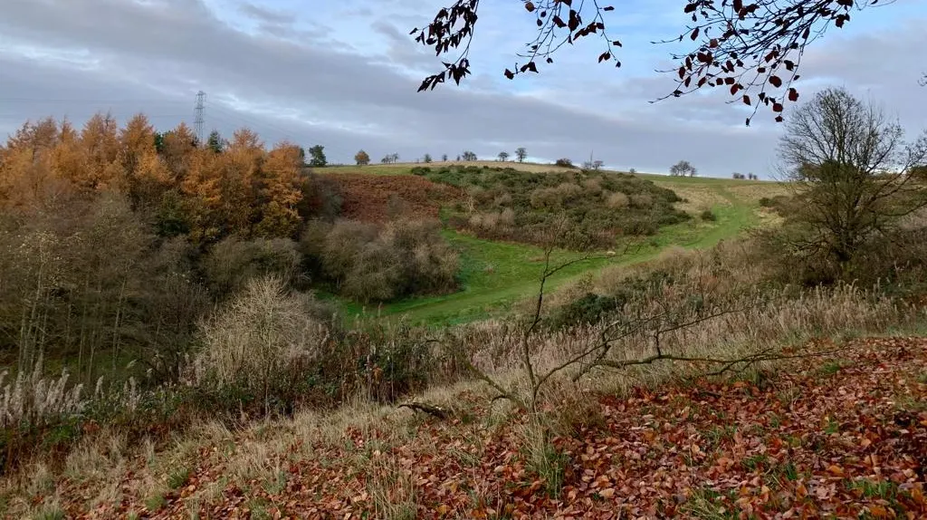 Rolling countryside with autumn vegetation, bare trees and brown leaf-strewn ground overlooking distant fields and woodlands.