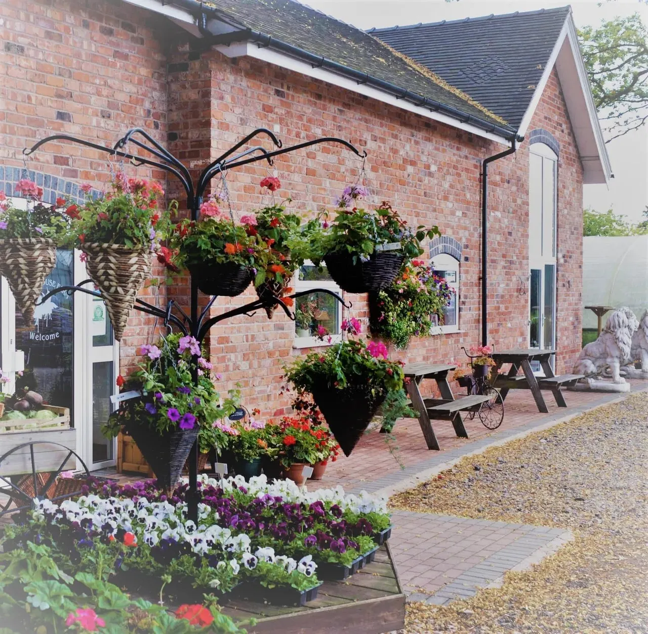 Red brick building entrance decorated with hanging baskets and potted flowers in pink, purple and white, with picnic tables on a gravel courtyard.