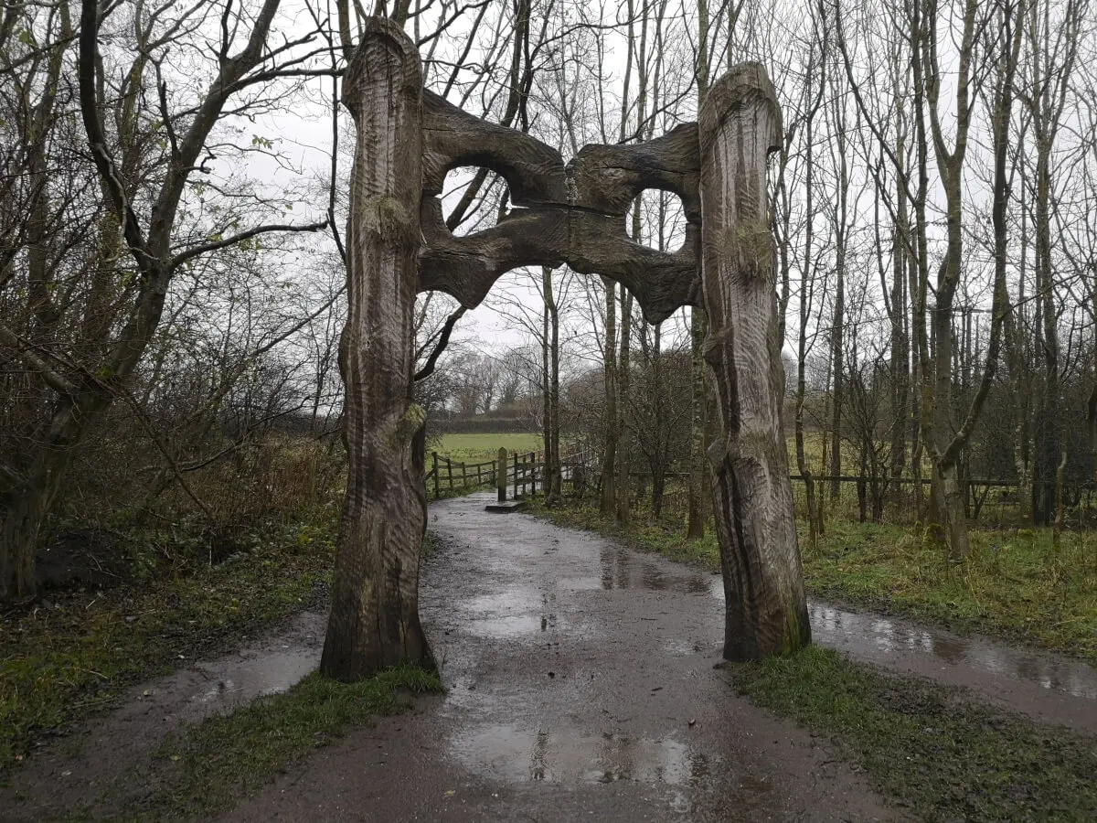Country Parks & Nature Reserves in Newcastle