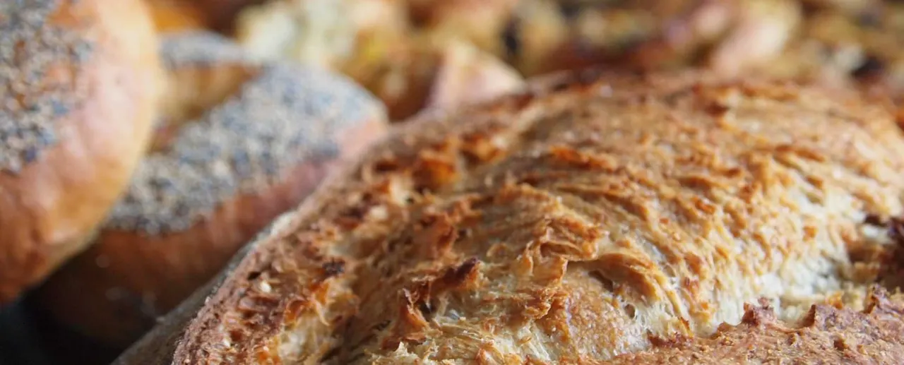 Close-up of freshly baked artisan breads with crusty golden-brown surfaces.