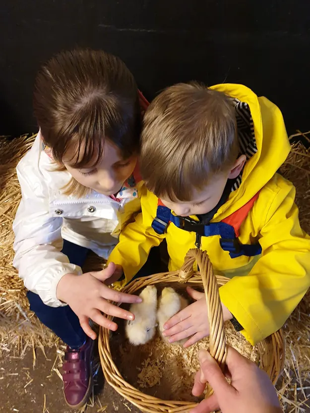 Two young children petting a farm animal in a basket on straw bedding.