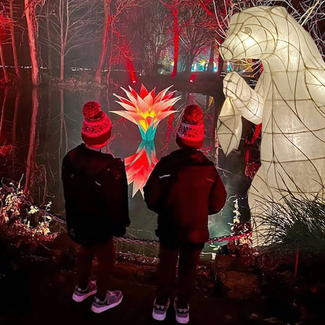 Two children viewing illuminated lantern installations depicting a large bird and glowing flower display among red-lit trees at a nighttime garden light show.