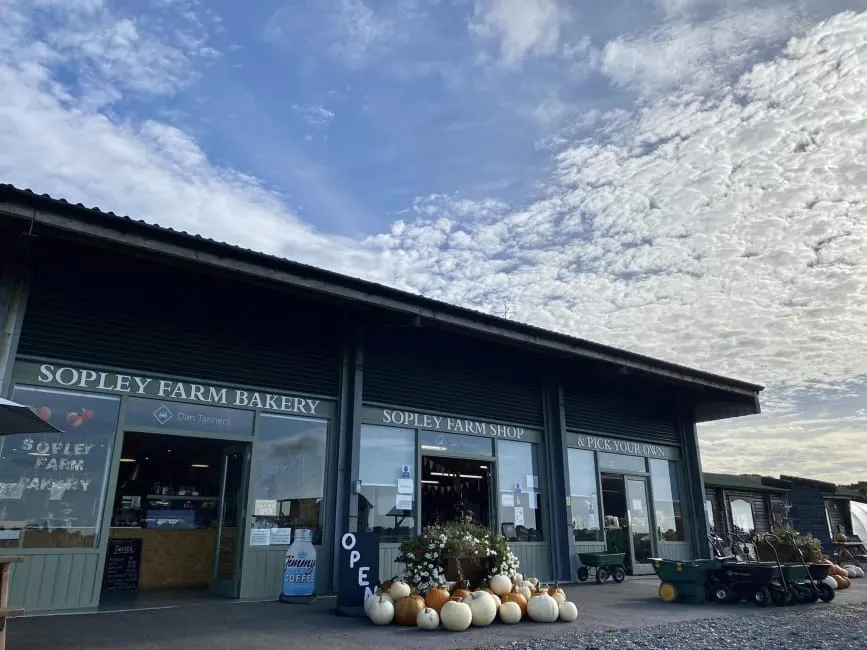 Exterior of Sopley Farm Shop and Bakery with pumpkins and flowers displayed outside the entrance on a sunny day.