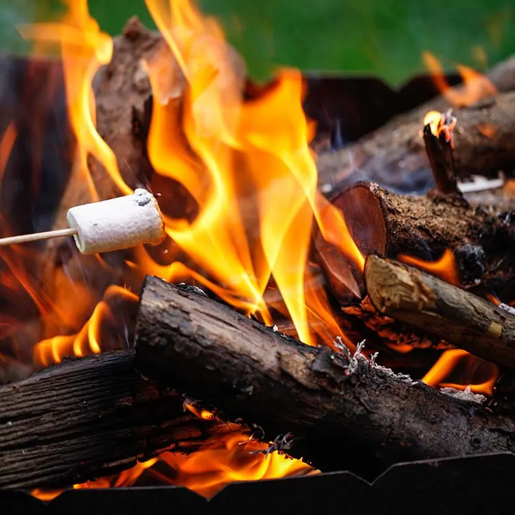 Marshmallow toasting on a stick over a bright campfire with logs and flames.