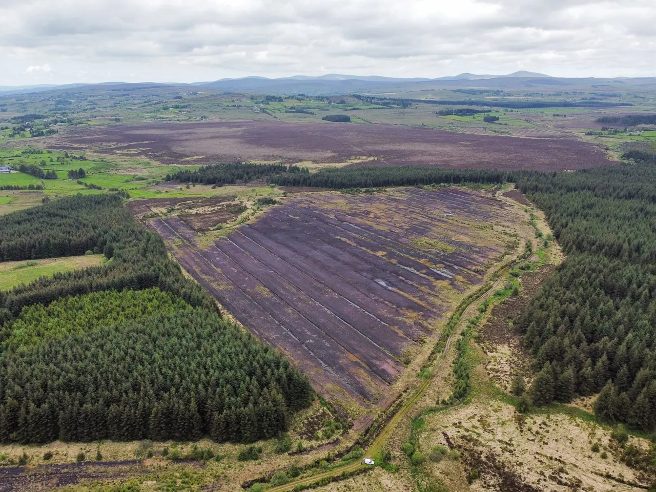 Aerial view of moorland with burnt heather, coniferous forests and distant mountains under cloudy sky.