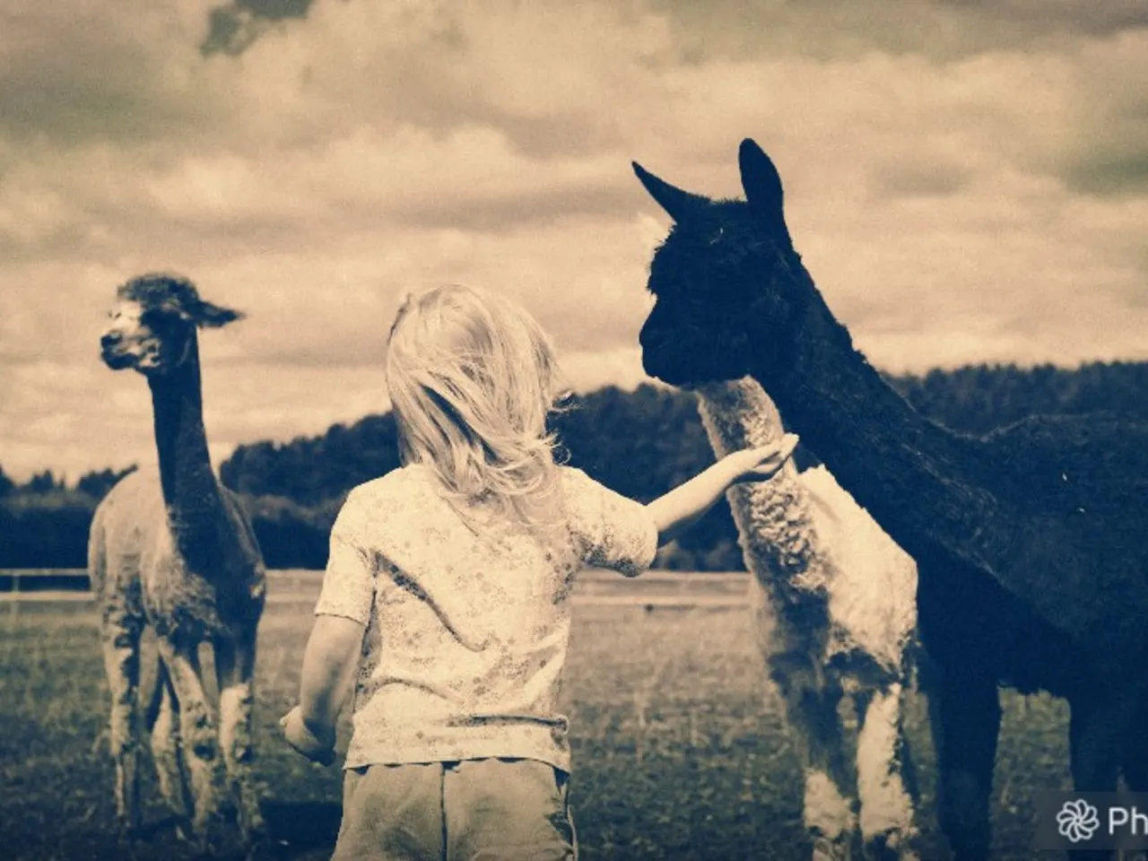 Animals at Felley Animal Experiences Underwood