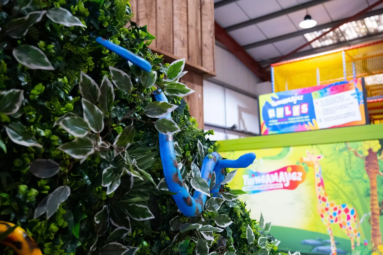 Blue snake on foliage within an indoor play venue with colourful wall graphics and signage.